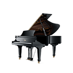 Pianoforti Acustici a Coda