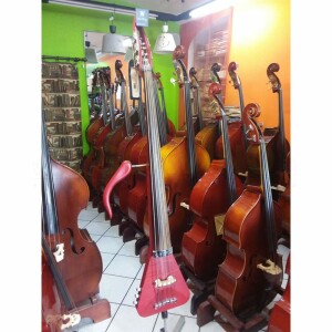 usato Warwick Triumph Standard Contrabbasso Elettrico 5 Corde