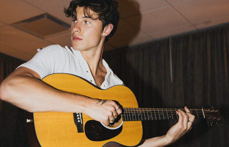 000JR-10E Shawn Mendes by Martin Guitars