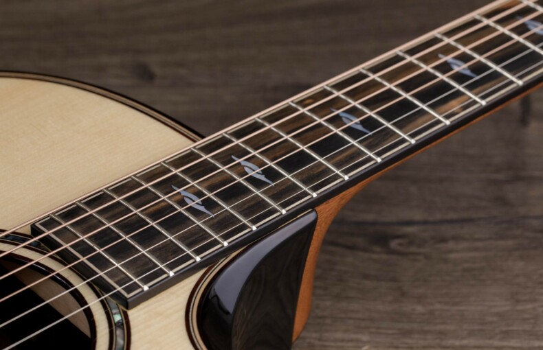 Builder's Edition 814ce di Taylor Guitars