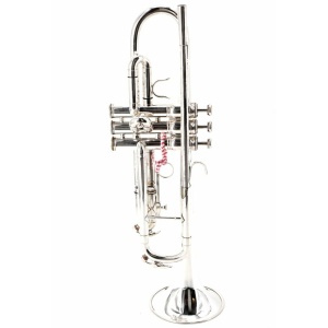 600 ARGENTATA TROMBA SIB