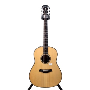 TAYLOR CUSTOM GP